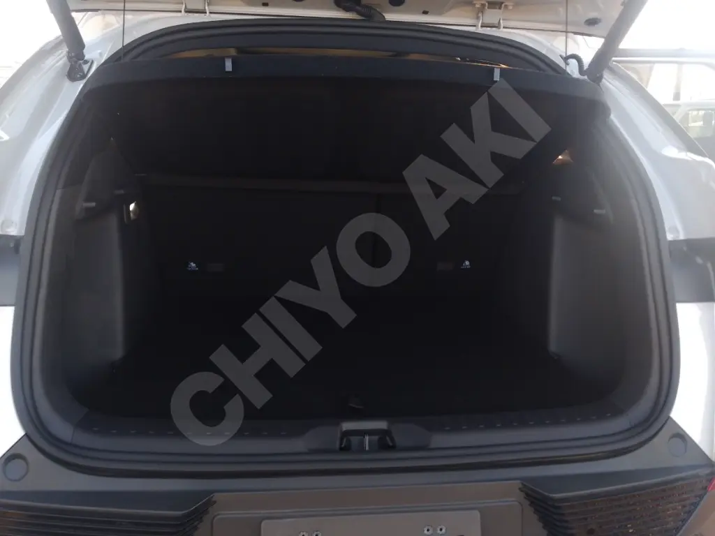 BYD ATTO 3 view 6
