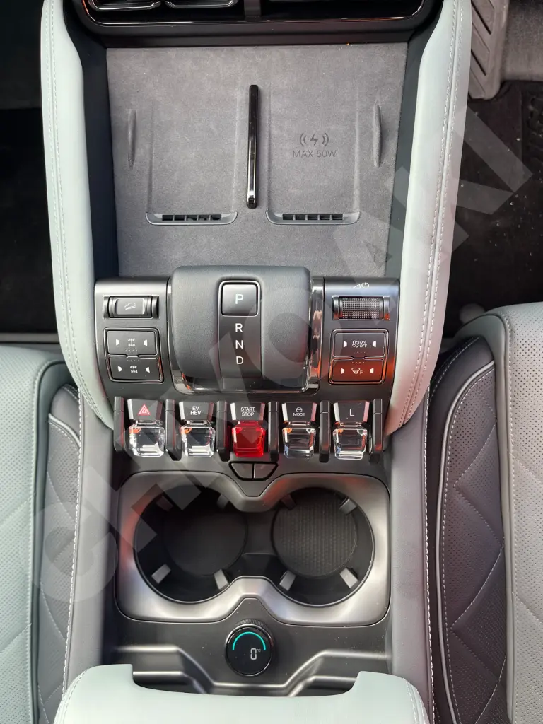 BYD DENZA B5 view 12
