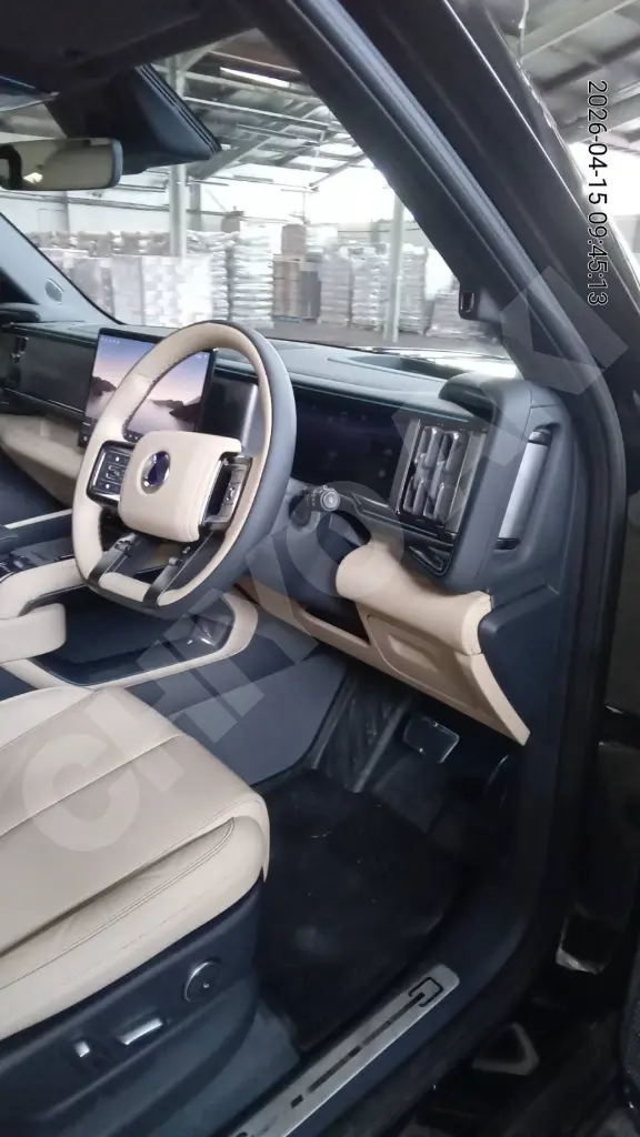 BYD DENZA B5 view 10