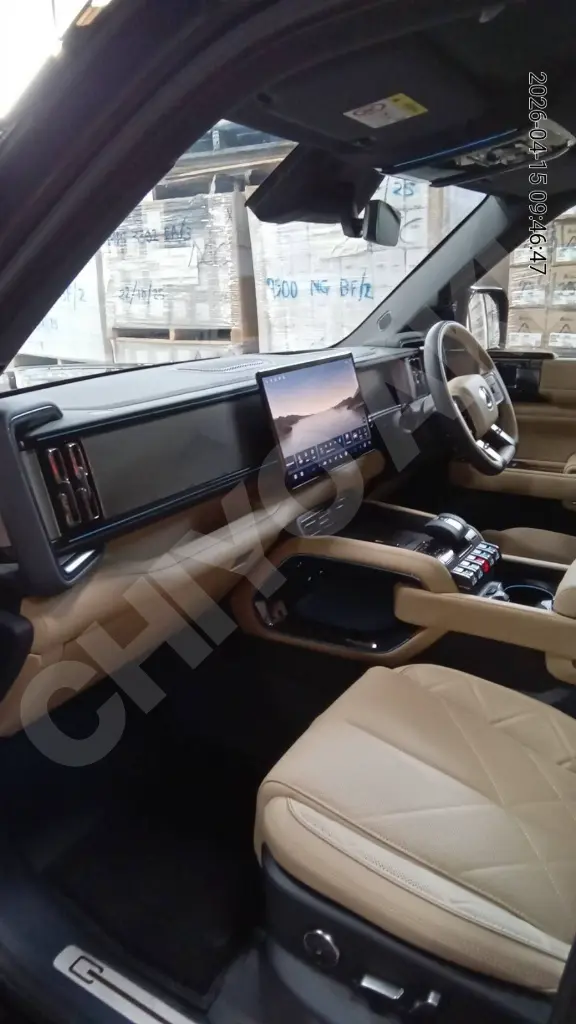 BYD DENZA B5 view 8