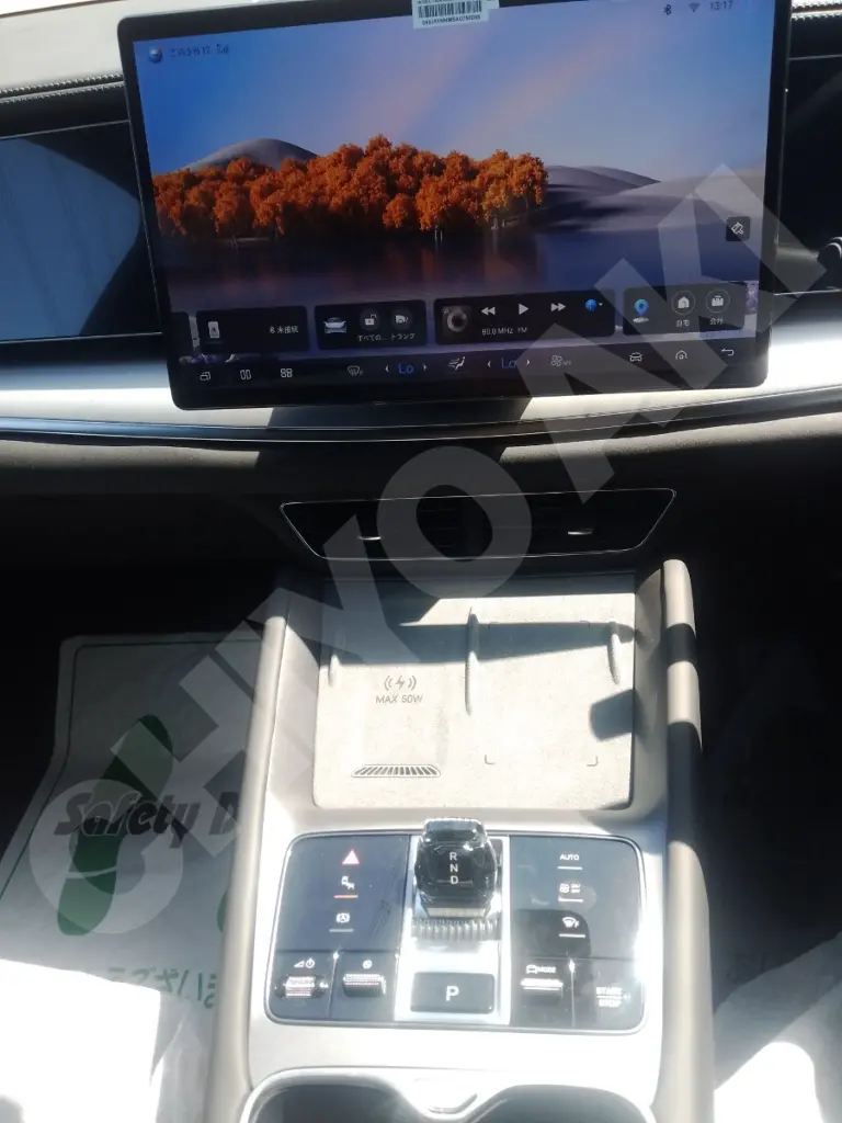BYD SEALION 7 view 9