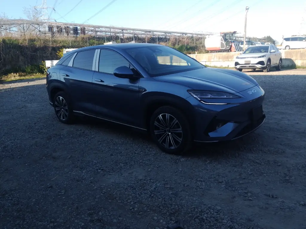 BYD SEALION 7 view 7