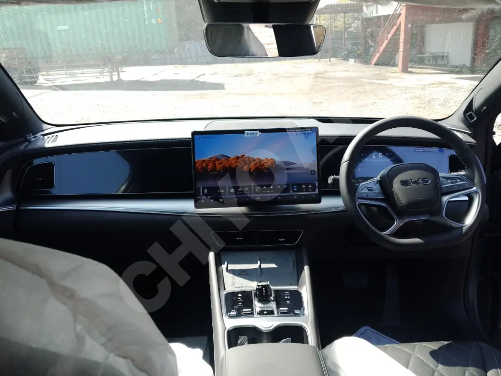 BYD SEALION 7 view 9