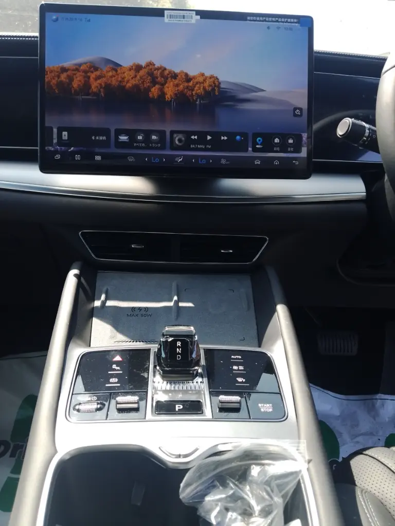 BYD SEALION 7 view 11