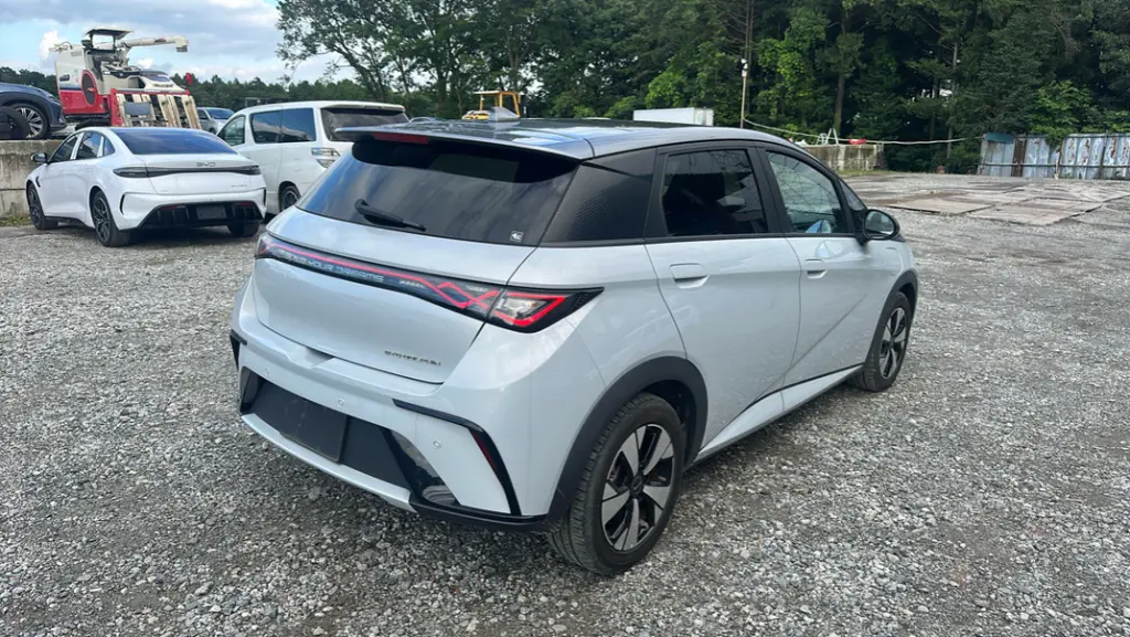BYD DOLPHIN view 4