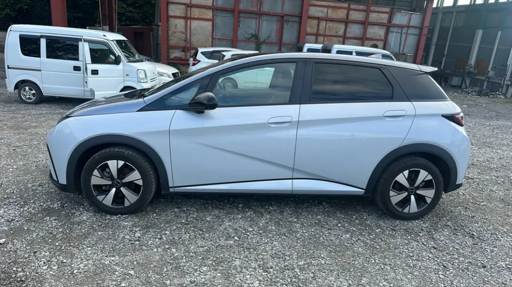 BYD DOLPHIN view 7