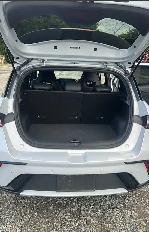 BYD DOLPHIN view 8