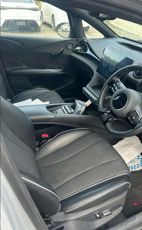 BYD DOLPHIN view 10