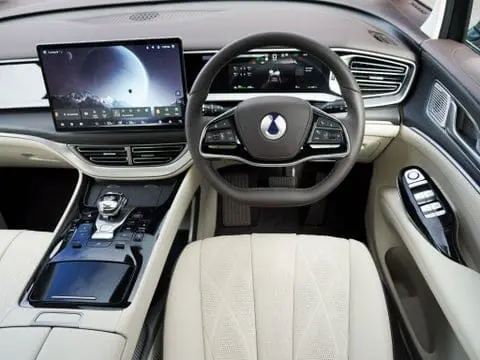 BYD DENZA D9 view 5