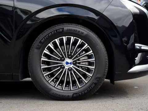 BYD DENZA D9 view 15