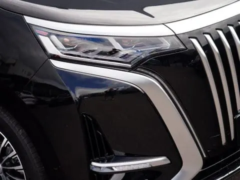 BYD DENZA D9 view 13