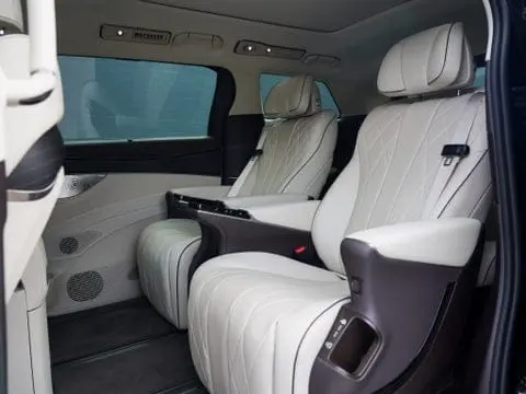 BYD DENZA D9 view 10