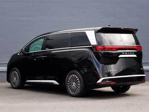 BYD DENZA D9 view 3
