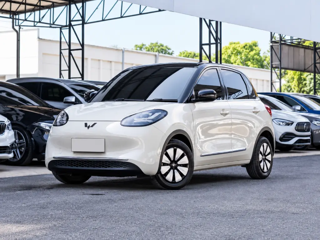 WULING BIGUO EV view 3