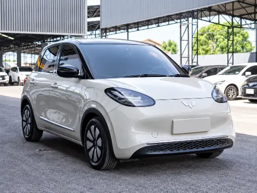 WULING BIGUO EV